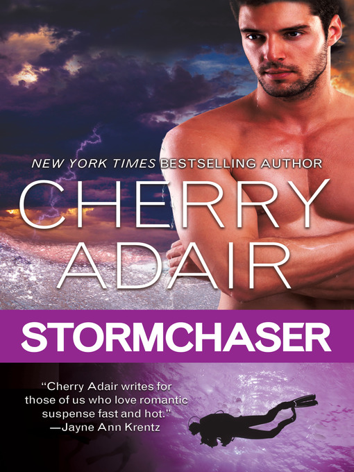 Title details for Stormchaser by Cherry Adair - Wait list